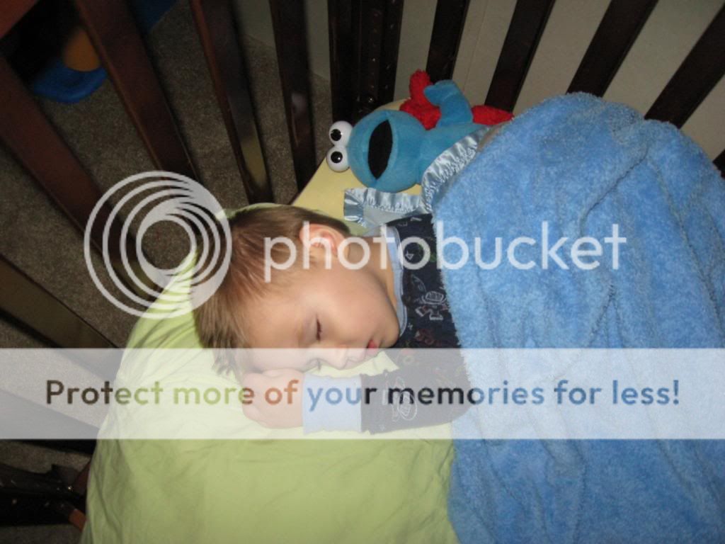 He fell out of his bed!! (pics) BabyGaga